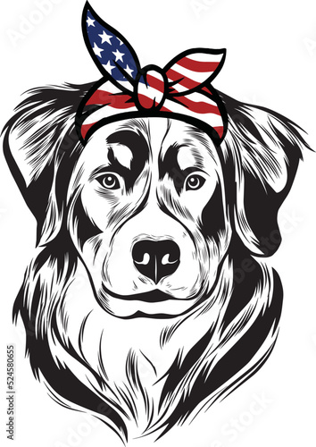 Bernese Mountain Dog vector eps , Dog in Bandana, sunglasses, Fourth , 4th July vector eps, Patriotic, USA Dog, Cricut Silhouette Cut File