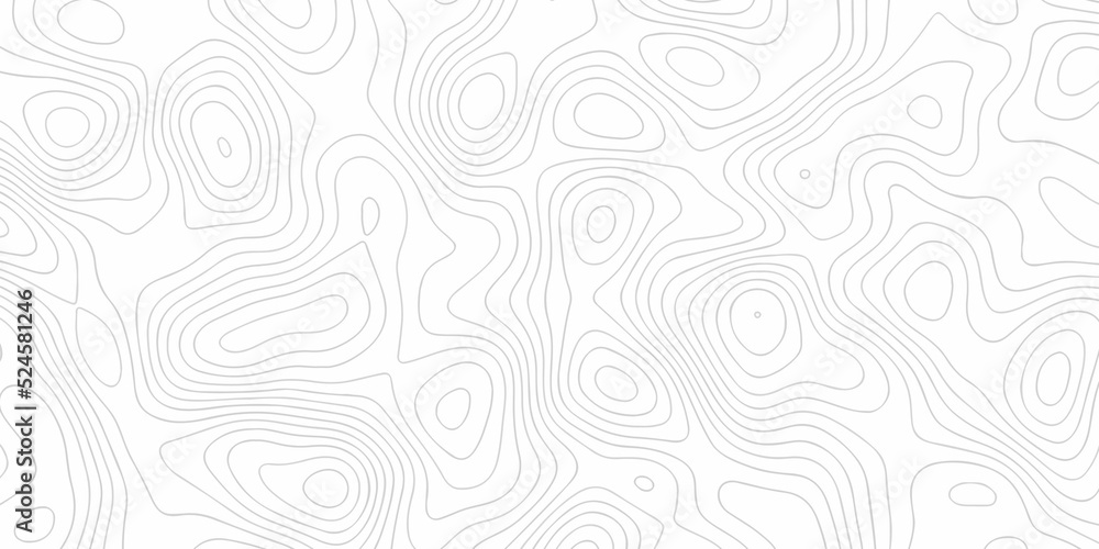 abstract pattern and Topographic map background. Line topography map contour background, geographic grid. Abstract vector illustration.	