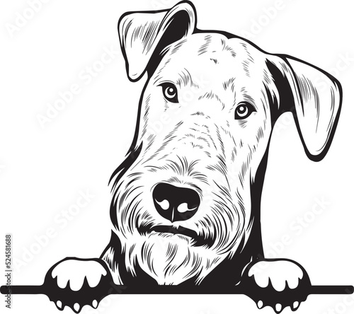 Airedale Terrier Peek A Boo | Peekaboo | Peeking Dog Face vector eps