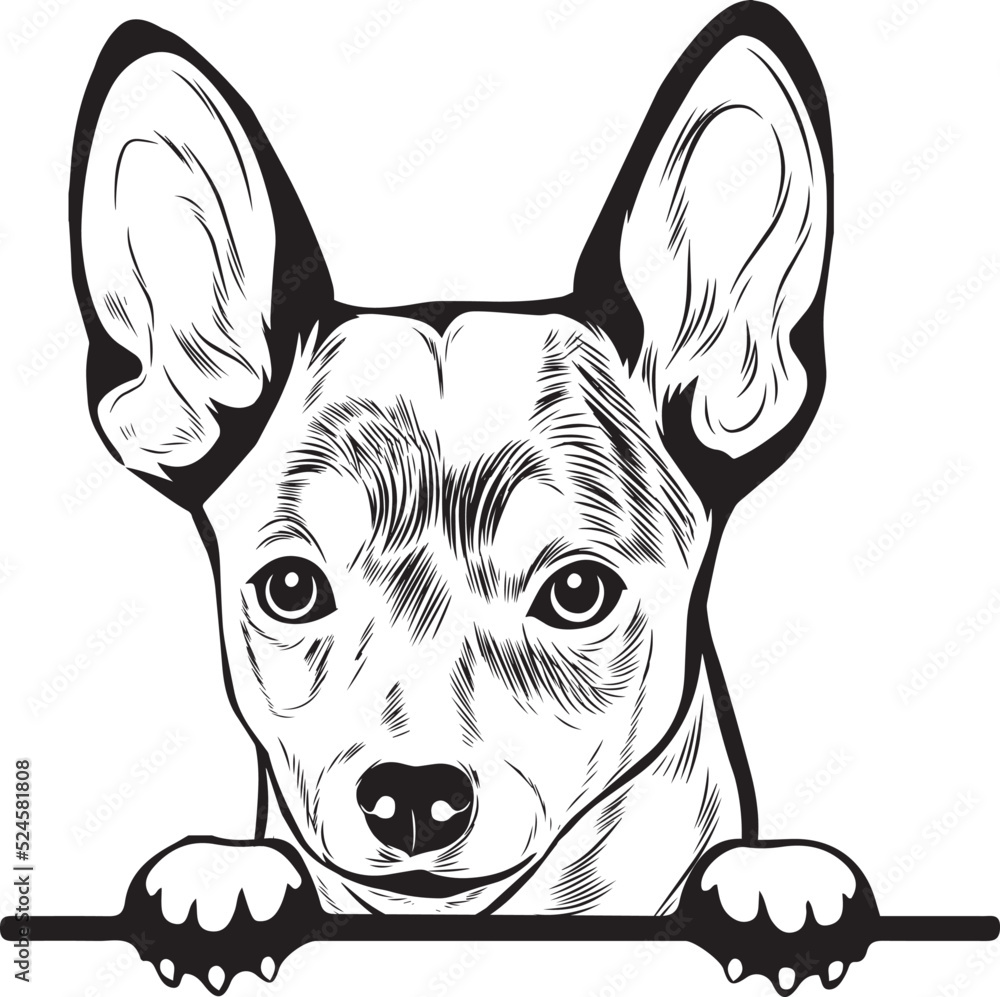 Toy Fox Terrier Peek A Boo Peekaboo Peeking Dog Face vector eps