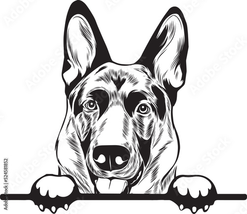 German Shepherd Peek A Boo | Peekaboo | Peeking Dog Face vector eps