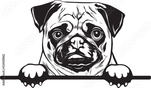 Pug Peek A Boo | Peekaboo | Peeking Dog Face vector eps