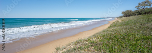Ocean, breaking waves, shoreline and vegetated sand dunes at Buddina beach, Kawana on Queensland's Sunshine Coast.
