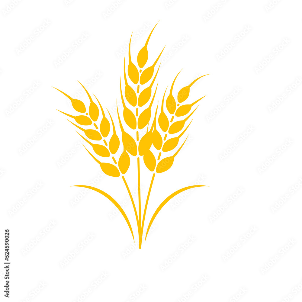 Ears of wheat. Whole grains for making bread. Ears of wheat. Whole grains for making bread.