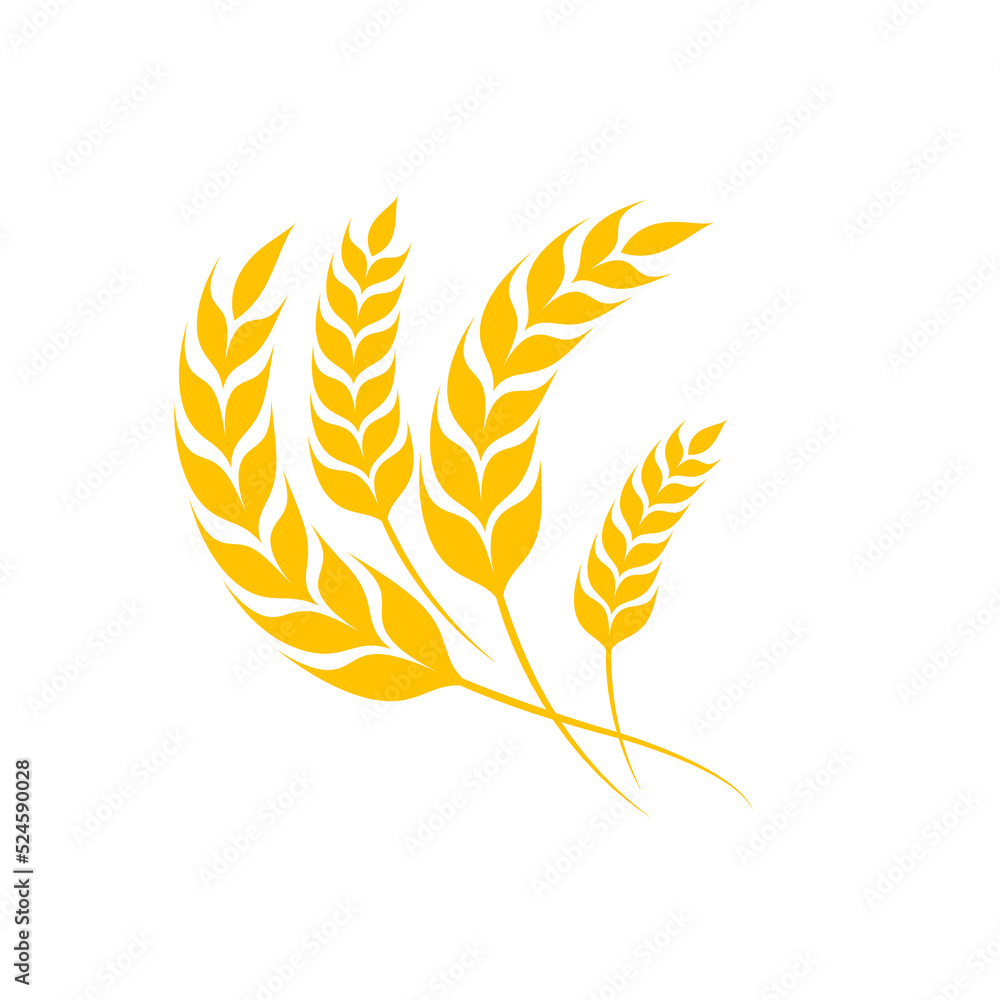 Ears of wheat. Whole grains for making bread. Ears of wheat. Whole grains for making bread.