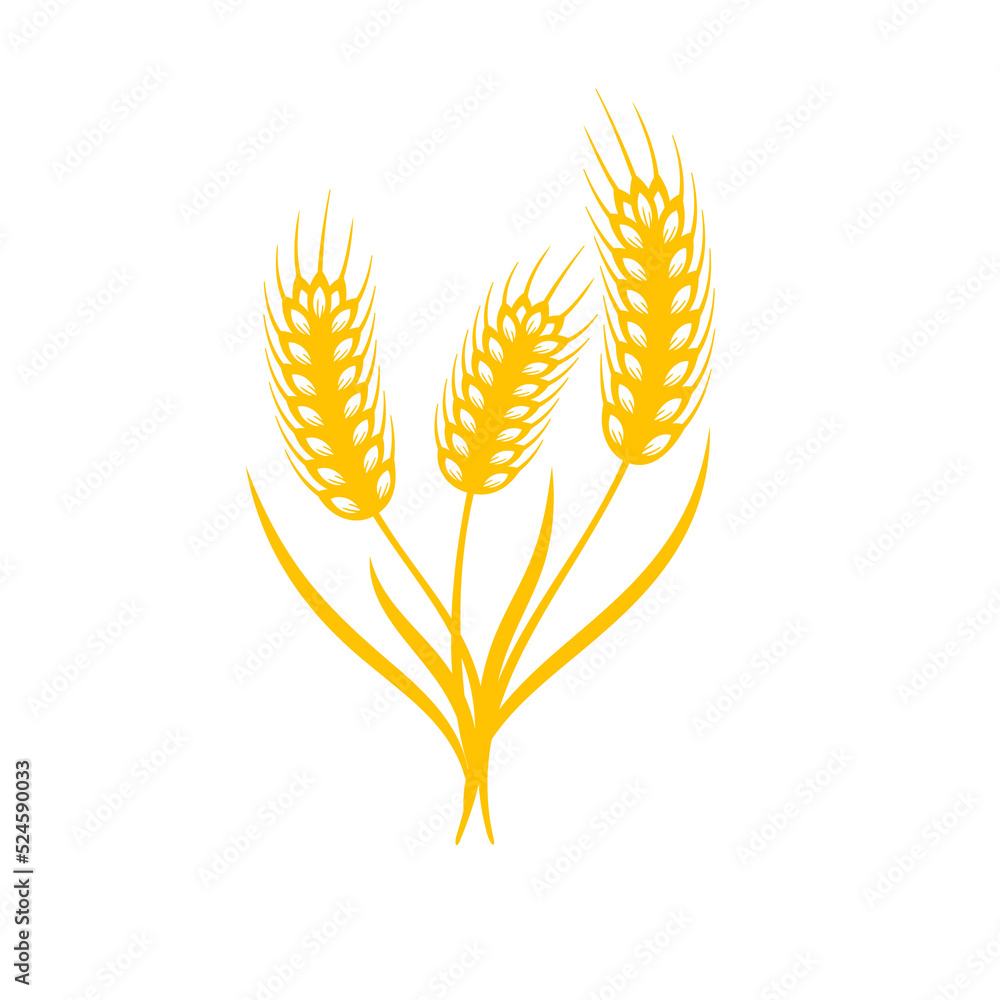 Ears of wheat. Whole grains for making bread. Ears of wheat. Whole grains for making bread.