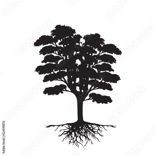 Tree silhouette on white background