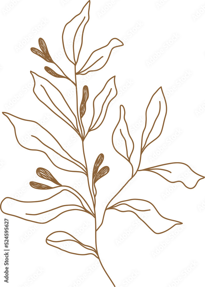 Fototapeta premium Leaf doodle transparency for decoration.