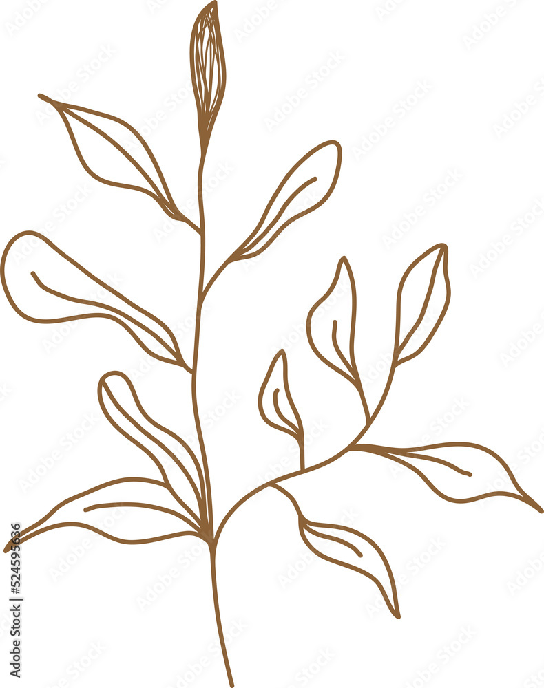 Naklejka premium Leaf transparent for decoration.