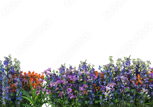 Flowers on a transparent background 