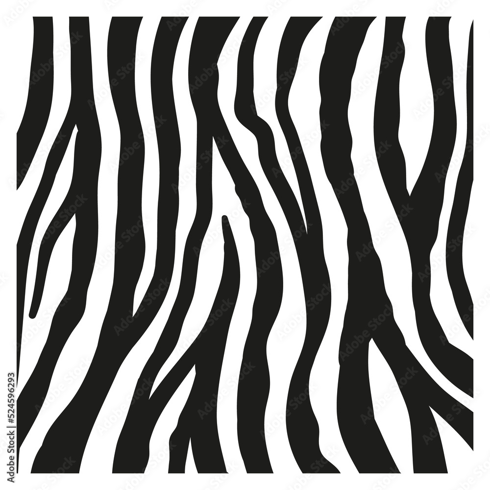 Black stripes on the skin of a zebra for decoration graphics Black stripes on the skin of a zebra for decoration graphics
