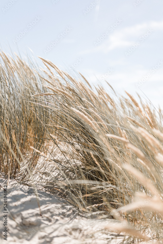 Fototapeta premium Familienurlaub Nordsee