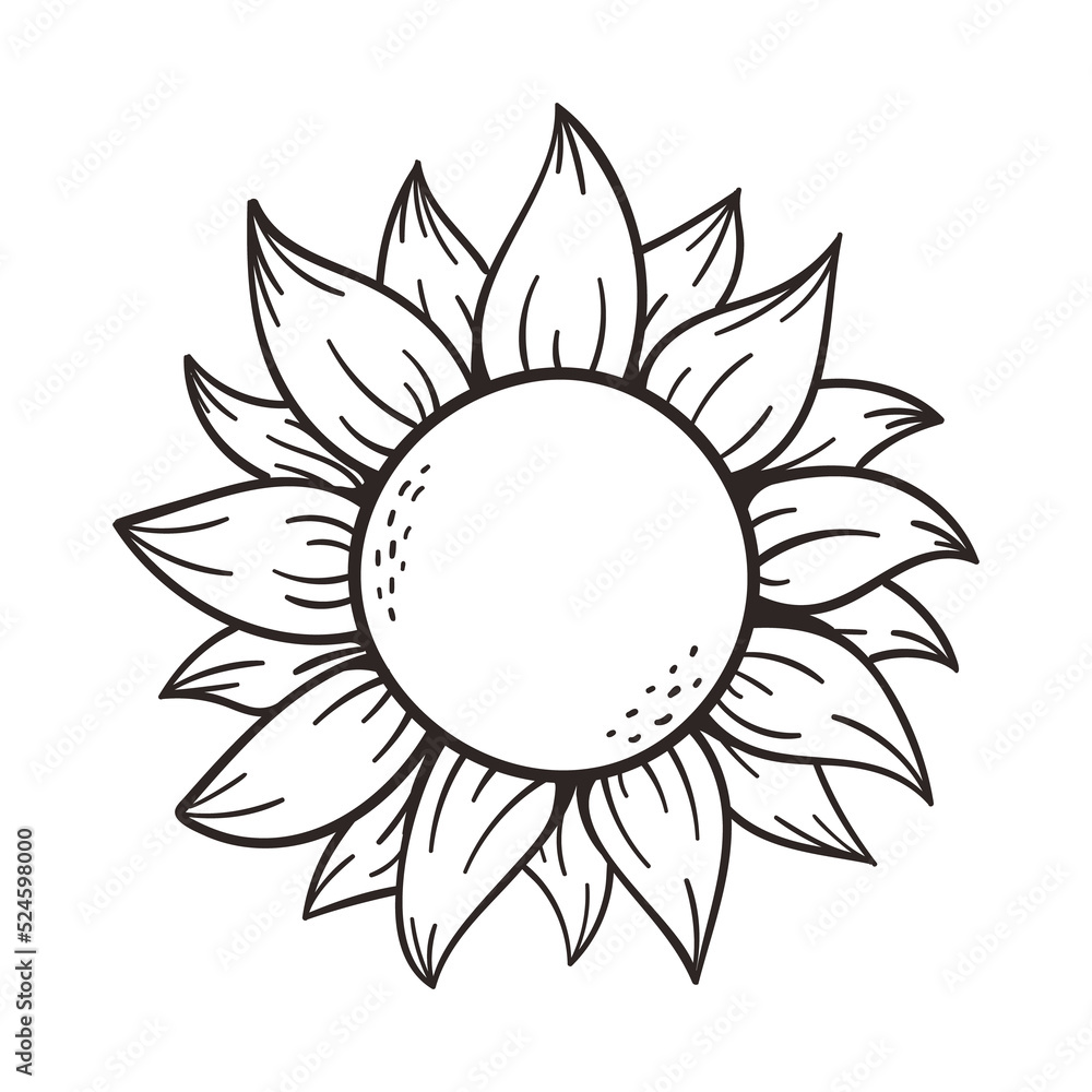 blooming yellow sunflowers full of sunflower seeds inside for decorating welcome cards blooming yellow sunflowers full of sunflower seeds inside for decorating welcome cards