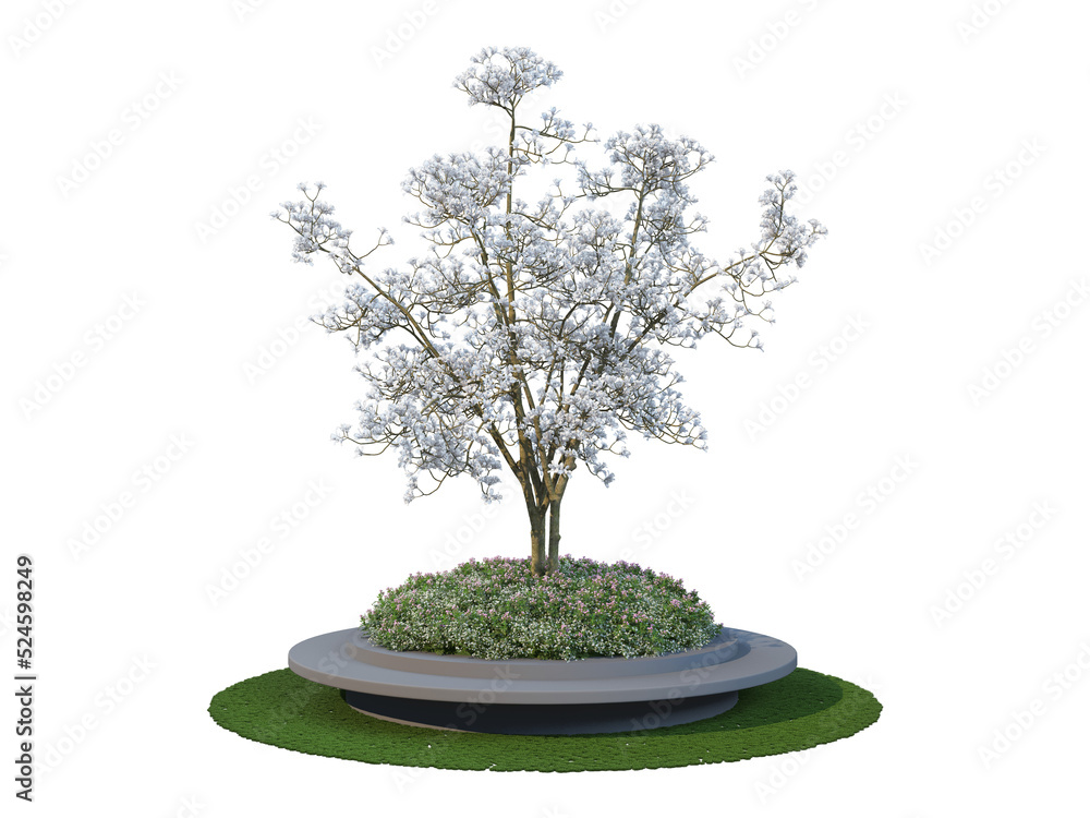 trees and flower on a transparent background
trees and flower on a transparent background