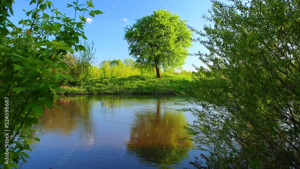 Splendid spring morning on a meadow near the river with a lone tree on the shore. Splendid spring morning on a meadow near the river with a lone tree on the shore.