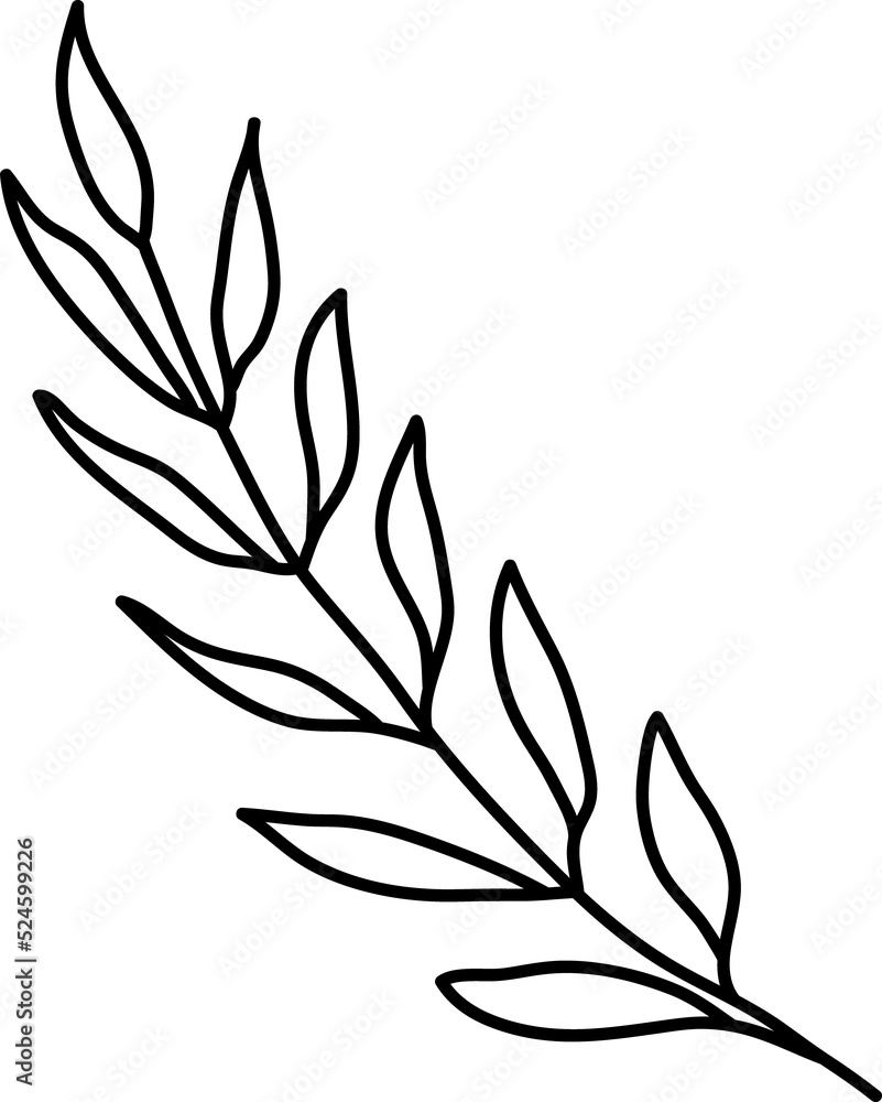 Leaf doodle transparency for decoration. Leaf doodle transparency for decoration.