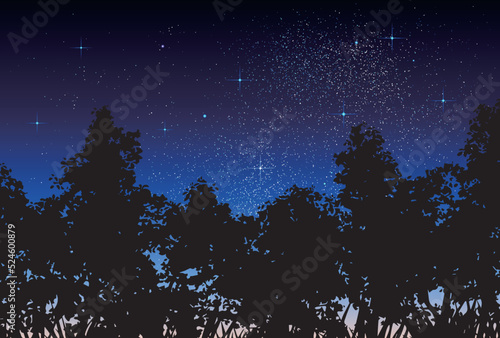 ベクター背景素材_夜空_森