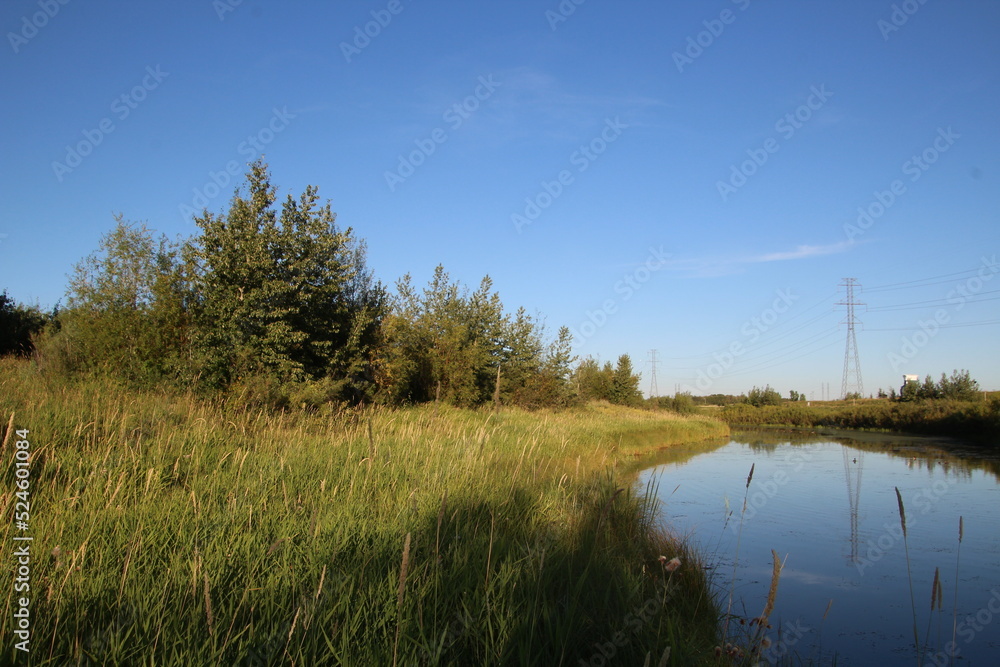 lake and forest lake and forest