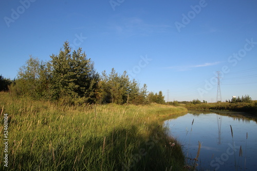 lake and forest