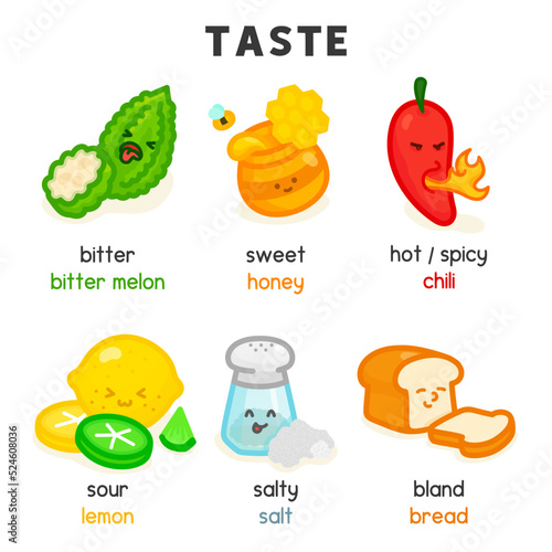food and taste diagram chart in science subject kawaii doodle vector cartoon