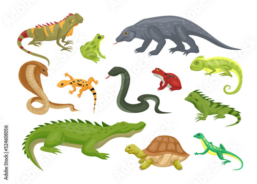 Wild reptile. Amphibian and lizard. Tropical reptilian. Crocodile and turtle. Iguana or gecko. Salamander animal. Cobra snake. Alligator or caiman. Vector illustration reptilians set