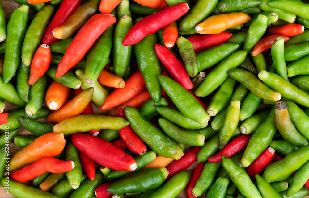 Top view colorful bird chilli background Top view colorful bird chilli background