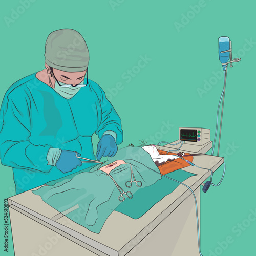 Veterinarian operating an animal, animal being operated.