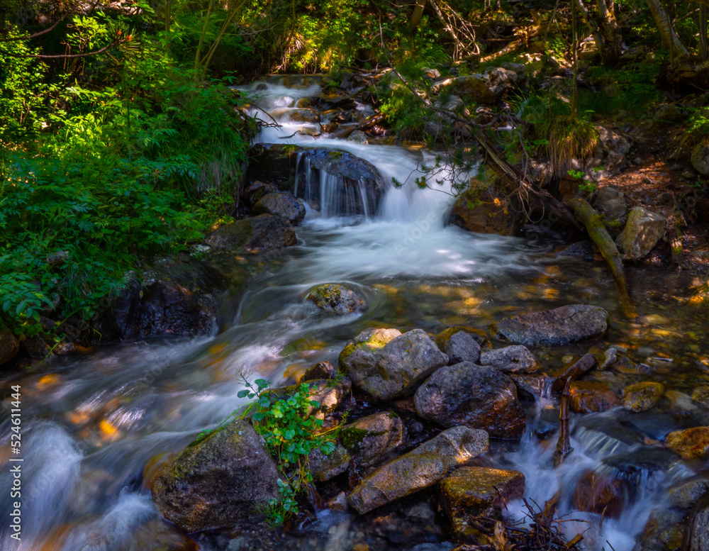 Beautiful river falling slowly from a waterfall in the Aragonese Pyrenees. Sunlight shines through the leaves.
Beautiful river falling slowly from a waterfall in the Aragonese Pyrenees. Sunlight shines through the leaves.