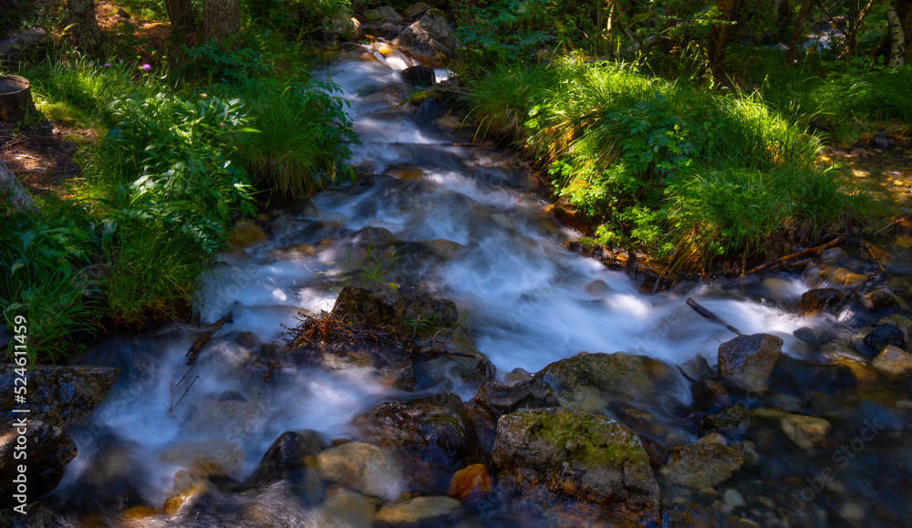 Obraz premium Beautiful river falling slowly down river in the Aragonese Pyrenees. Sunlight shines through the leaves.