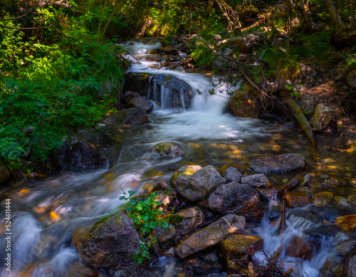 Fototapeta Naklejka Na Ścianę i Meble -  Beautiful river falling slowly from a waterfall in the Aragonese Pyrenees. Sunlight shines through the leaves.
