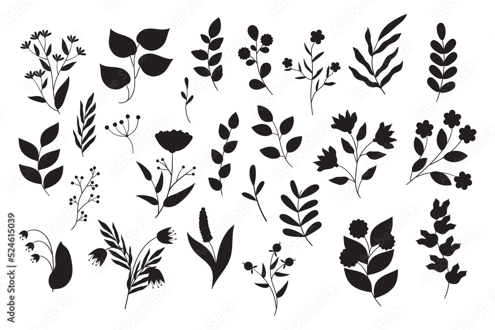 Set of black and white flowers silhouette. Doodle vector floral illustrations collection Set of black and white flowers silhouette. Doodle vector floral illustrations collection