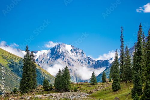 Beautiful nature of the rocky mountains of Switzerland. Snowy peaks, green landscape of nature. Coniferous trees among the rocks on a blue background