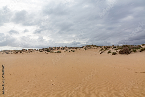 Evening view on small sand dune with green grass. Sandy beach at sea coast. Blue sky with white clouds. Sunset time