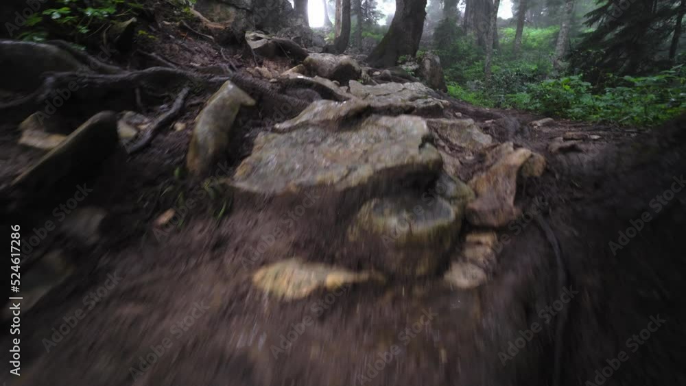 wild landscaped forest with trees and moss on rocks. Atmosphere of eerie or fairy-tale forest with large stones and mountains. Fog or smog has enveloped everything, sun's rays are penetrating. wild landscaped forest with trees and moss on rocks. Atmosphere of eerie or fairy-tale forest with large stones and mountains. Fog or smog has enveloped everything, sun's rays are penetrating.