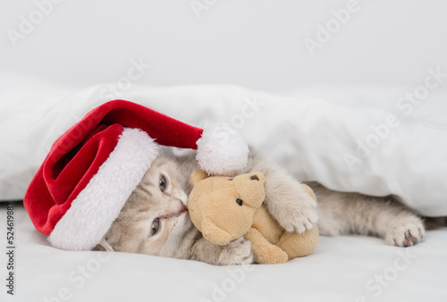 Playful kitten wearing red santa hat hugs toy bear under white blanket