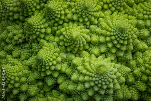 Romaneco Cauliflower photo