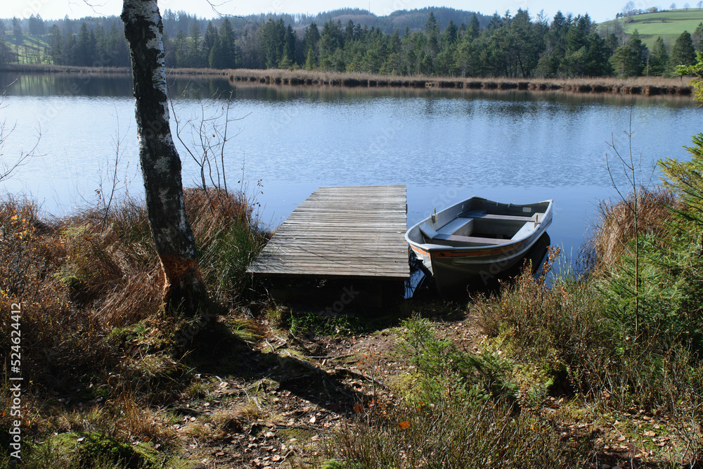 Steg mit Boot am Weiher