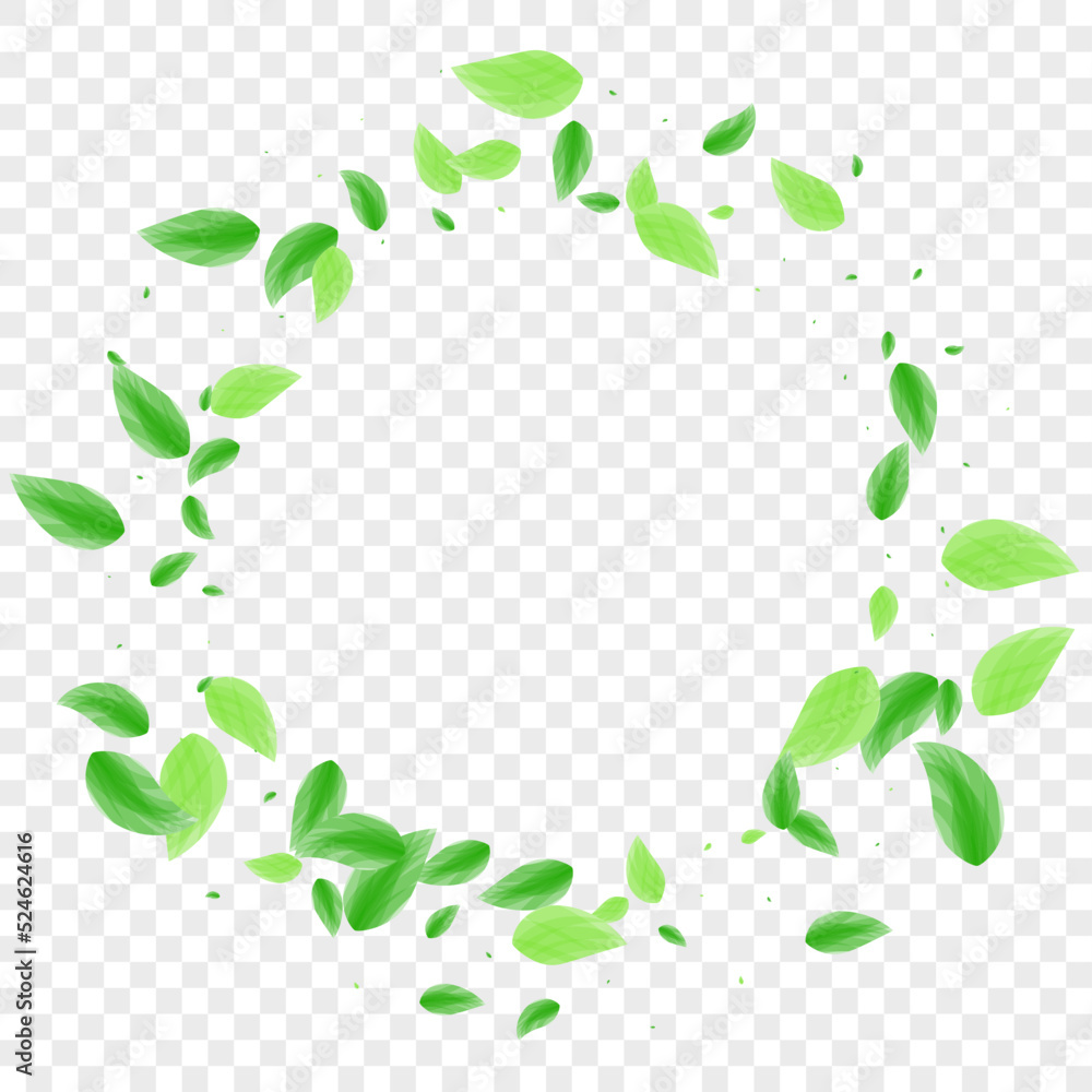 Light Green Leaves Background Transparent Vector. Leaf Eucalyptus Frame. Vitality Design. Green Peaceful Illustration. Plant Blend.