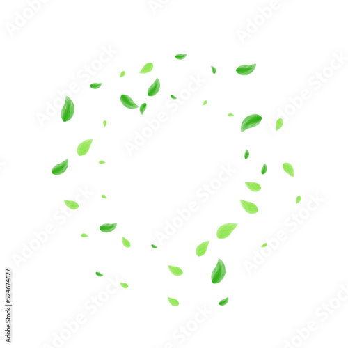 Green Vegetation Background White Vector. Greenery Park Texture. Herbarium Illustration. Greenish Nature Card. Foliage Flying.