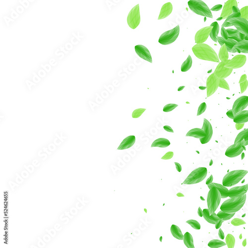 Greenish Sheet Background White Vector. Greenery Line Illustration. Mint Card. Green Delicate Texture. Foliage Life.