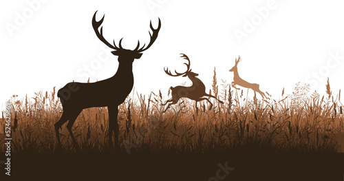 Deer silhouette in the meadow. Vector illustration