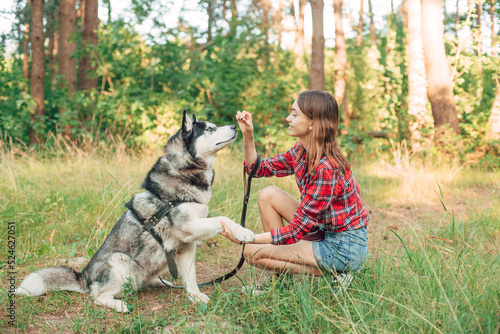 teenage girl playing and having fun with her siberian husky dog. Girl with dog in the forest © kurapatka