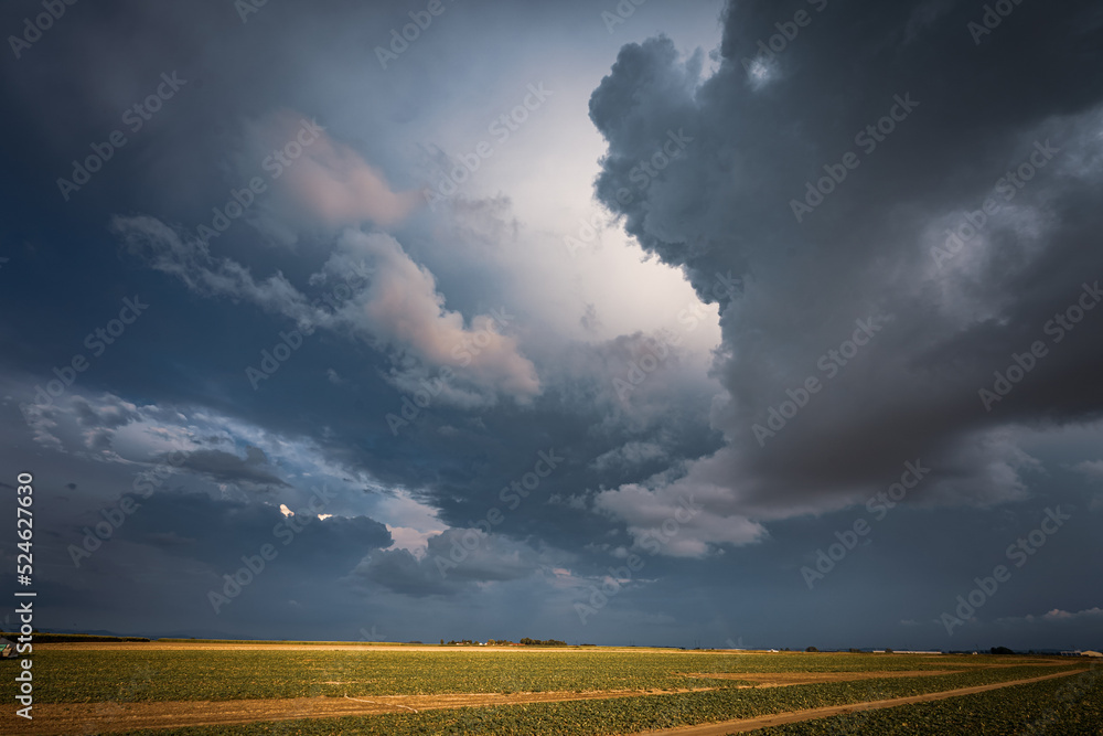 impending squall with rain, impending hurricane, impending rain, approaching storm, Prairie Storm, the storm is coming, approaching storm, thunderstorm, tornado, mesocyclone, climate, Shelf cloud impending squall with rain, impending hurricane, impending rain, approaching storm, Prairie Storm, the storm is coming, approaching storm, thunderstorm, tornado, mesocyclone, climate, Shelf cloud