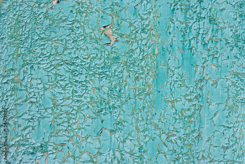 Old weathered cracked aqua blue color paint texture. Abstract grunge teal background