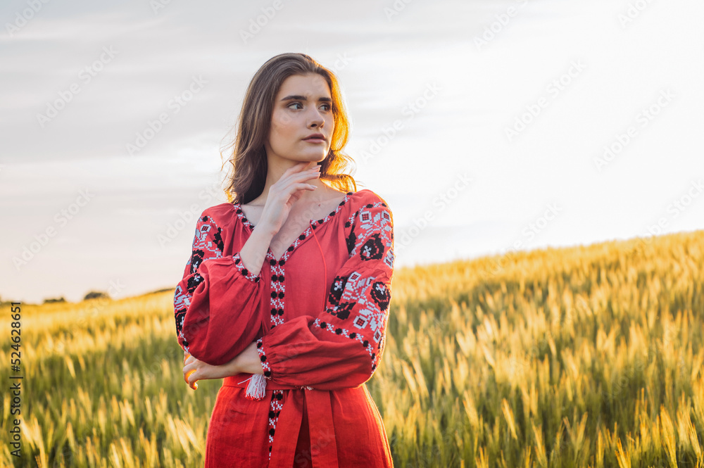 young beautiful woman wearing ukrainian traditional embroidered dress in wheat field during sunset. Stand with Ukraine young beautiful woman wearing ukrainian traditional embroidered dress in wheat field during sunset. Stand with Ukraine