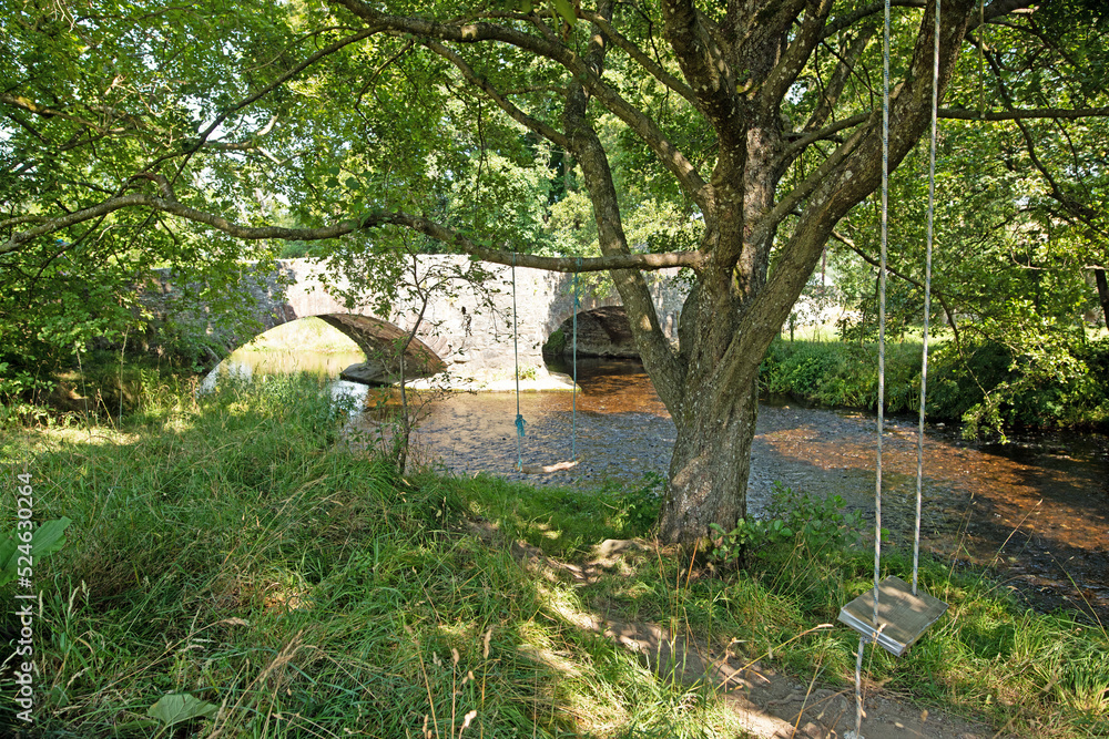 Naklejka premium Two swings by Bampton Grange, Cumbria, England.