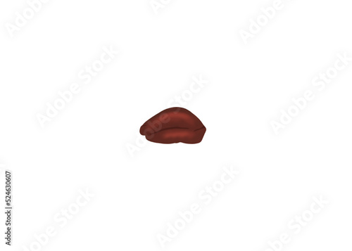 Foie organe illustration