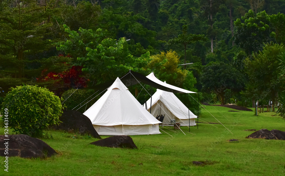 Tent camping in the midst of nature.