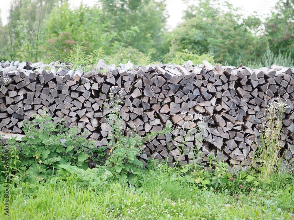 Wärmeenergie - Holzscheite lagern gestapelt im Wald	