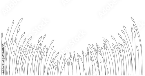Vector linear hand drawn millet plants, grains. Abstract plant grain of rural agriculture